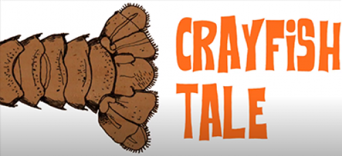 The Crayfish tale