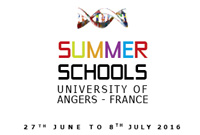 Summer schools Angers 2016