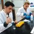 Studiranjem na Biološkom odsjeku postajete članom zajednice od preko 1000 studenata biologije i 136 sveučilišnih nastavnika, asistenata i stručnih suradnika. Naši nastavni programi omogućuju kontinuirano školovanje studenata u različitim područjima biologije od preddiplomskog i diplomskog pa sve do doktorskog studija. Predavanja, laboratorijske vježbe i terenski rad osiguravaju stjecanje teorijskih  znanja i praktičnih vještina potrebnih biolozima na globalnom tržištu rada 21. stoljeća.