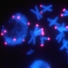 The nucleus is one of the most dynamic organelles in the eukaryotic cell. It is the place where the DNA molecule is located but it is also where we can find all the hereditary material, the genes, which ”switch on and off” and through this regulate all the processes in the cell. Numerous modifications of the DNA molecule are included in the regulation, as well as the regulation of proteins, that make up chromosomes. Insights into whole genomes, strings of nucleotides in the whole DNA of an organism, enable research of individual genes and their products.