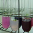 Even thought genetically modified organisms (GMO) are a very controversial topic, the public neglects the positive significance of genetic modification, particularly in scientific research. The research of mutagens that are created by spontaneous or induced mutagenesis has for decades enabled new insights into function and regulation of genes. In our laboratories, we research genetically modified plants that give us answers to the questions of is it possible to build in a foreign gene in an exact place in the genome of the plant model.  