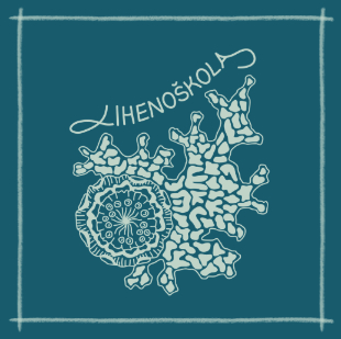 Lihenoškola