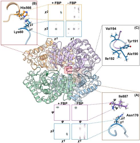 A Research Paper Published in Protein...