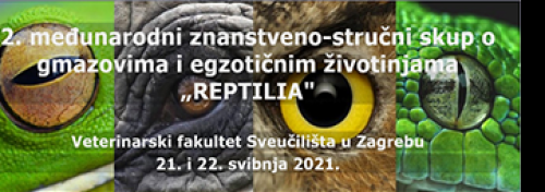 REPTILIA 2021.