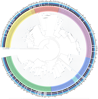 Objavljen rad - DNA barcoding for...