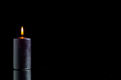 In memoriam – Dr.sc. Đorđe Mamula...