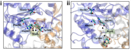 A Research Paper Published in Nucleic...