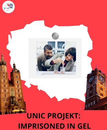 UNIC projekt: Imprisoned in Gel