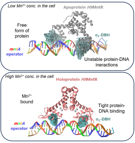 A Research Paper Published in...