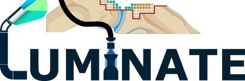 LUMINATE - inovativni EU Horizon...
