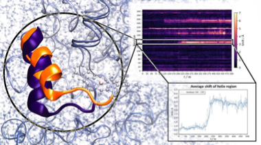 A Research Paper Published in NAR...