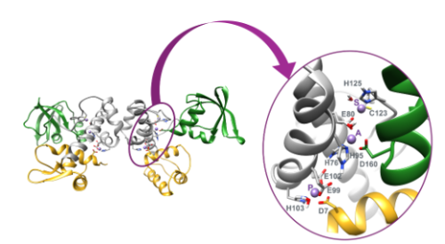 A Research Paper Published in...