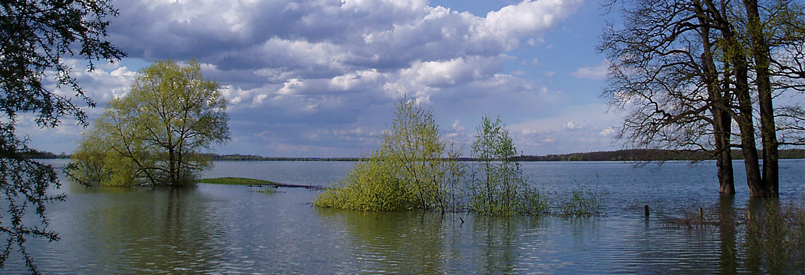 Freshwater research