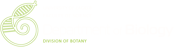 Department of biology